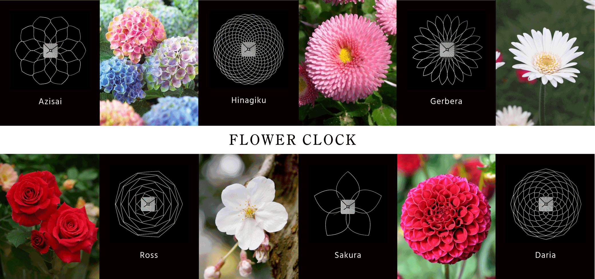 FLOWER CLOCK